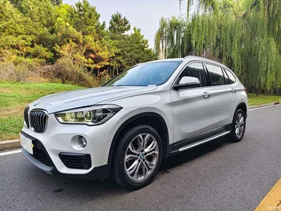 2019 BMW X1 sDrive20Li Leading Model, фото 1, лот 10846087