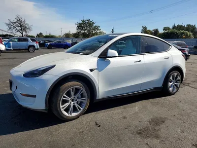 2024 TESLA MODEL Y, фото 1, лот 10855542