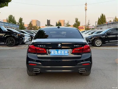 2019 BMW 5 Series 530Li Leading M Sport Package, фото 3, лот 10482634