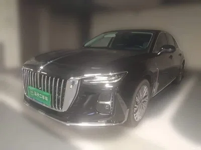 2023 Hongqi H5 2.0T Auto Smart Connect Flag Comfort, фото 1, лот 10386075