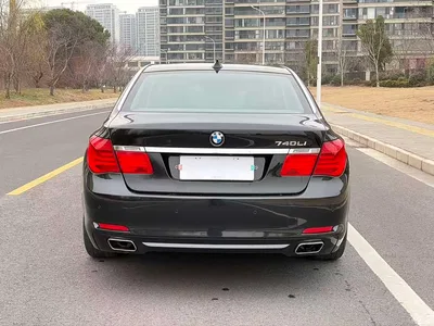 2009 BMW 7 Series 740Li Luxury, фото 4, лот 10458935