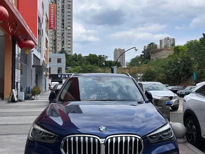 2020 BMW X1 xDrive25Li Premium Edition, фото 3, лот 10404437