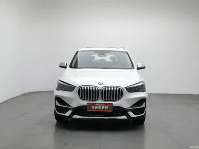 2021 BMW X1 xDrive25Li Exclusive, фото 3, лот 10411787