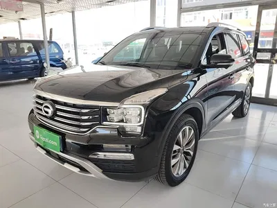 2019 GAC Trumpchi Trumpchi GS8 390T 2WD Luxury Smart Connect Edition (7-seater), фото 1, лот 10422086