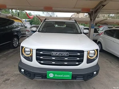 2021 Haval Big Dog 1.5T DCT 2WD Labrador Edition, фото 3, лот 10361512