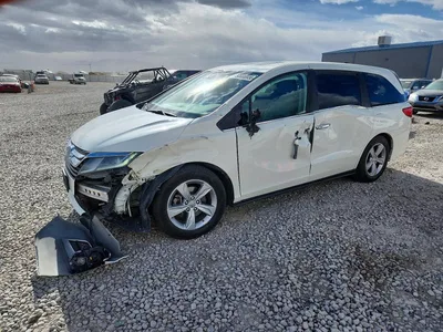 2019 HONDA ODYSSEY EXL, фото 1, лот 10680917