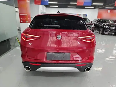 2017 Alfa Romeo Stelvio 2.0T 200HP Elite, фото 4, лот 11247345