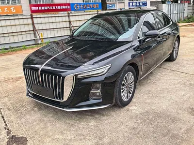 2023 Hongqi H5 1.5T DCT Smart Connect Flag Rhythm, фото 1, лот 11102437