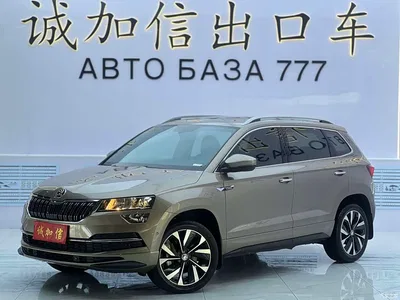 2022 Škoda Karoq TSI280 Luxury Edition, фото 1, лот 11528646