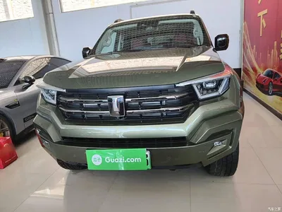2023 Tank 400 New Energy Hi4-T Super Edition, фото 3, лот 10345454