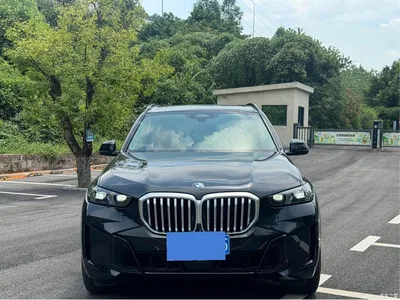 2023 BMW X5 xDrive 30Li Premium M Sport Package, фото 2, лот 10270827