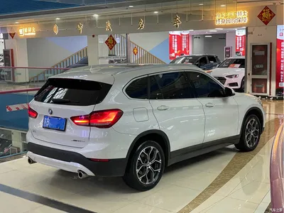 2021 BMW X1 sDrive25Li Leading, фото 3, лот 11241645