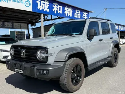 2021 Tank 300 Off-road Version 2.0T Conqueror, фото 1, лот 10345151