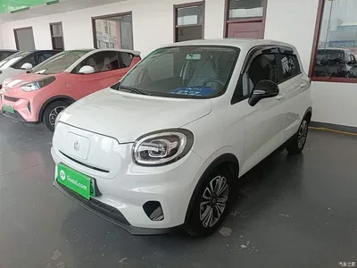 2024 Leapmotor T03 403 Comfort Edition, фото 2, лот 10442818