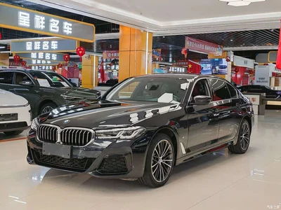 2023 BMW 5 Series 530Li Leading M Sport Package, фото 1, лот 11570587
