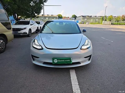 2020 Tesla Model 3 Standard Range Rear-Wheel Drive Upgrade, фото 3, лот 10369904