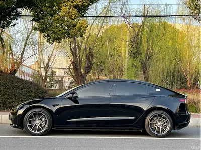 2021 Tesla Model 3 Standard Range Rear-Wheel Drive Upgrade, фото 2, лот 10353762