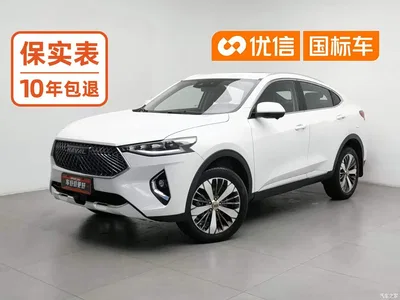 2021 Haval F7x 1.5T 2WD Ultimate Smart Trend Edition, фото 1, лот 10696643