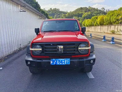 2021 Tank 300 Off-road Version 2.0T Conqueror, фото 2, лот 10344271