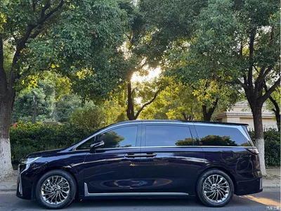 2024 Voyah Auto Voyah Dreamer PHEV Extended Range Flagship Edition, фото 3, лот 10405381