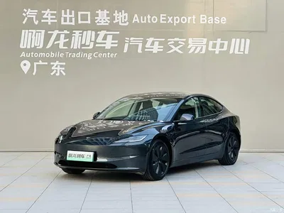 2023 Tesla Model 3 Rear-Wheel Drive, фото 1, лот 10346733