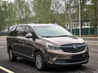 2021 Buick GL8 Land Business Class 652T Comfort, фото 3, лот 10255080