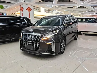 2018 Buick GL8 ES 28T Luxury Type China VI, фото 1, лот 11132804
