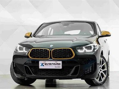 2023 BMW X2 sDrive 25i Radiance Edition, фото 3, лот 10899286