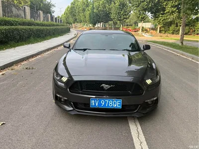 2016 Ford Mustang 2.3T Performance Edition, фото 2, лот 10394474