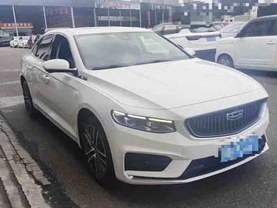 2021 Geely Xing Rui 2.0TD Premium, фото 3, лот 10359838