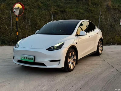 2022 Tesla Model Y Facelift Rear-Wheel Drive Version, фото 1, лот 11254884