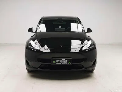2023 Tesla Model Y Rear-Wheel Drive Edition, фото 2, лот 11137051