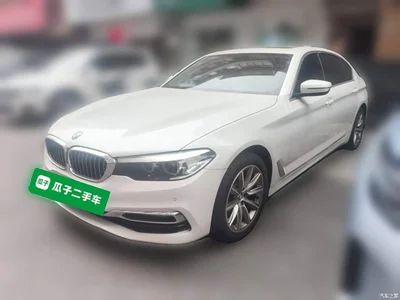 2019 BMW 5 Series 525Li Luxury Package, фото 1, лот 11141720