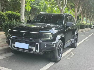 2025 Deepal Deep Blue G318 Worry-Free Cross 2WD Wilderness Edition, фото 3, лот 11644740