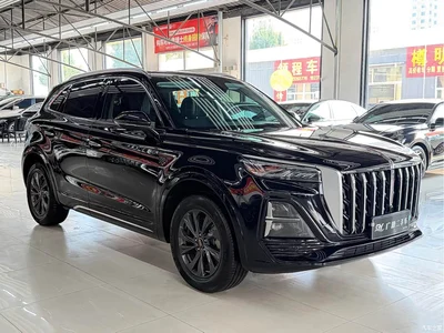 2023 Hongqi HS5 2.0T Flag Enjoy Pro Edition, фото 3, лот 11016917