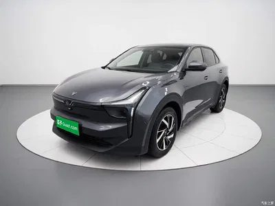 2021 Nezha Auto Neta U Pro 500 Global Edition, фото 2, лот 10447683