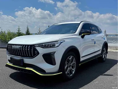 2022 Haval Chitu Power Edition 1.5T Purple Copper Rabbit, фото 1, лот 10400673