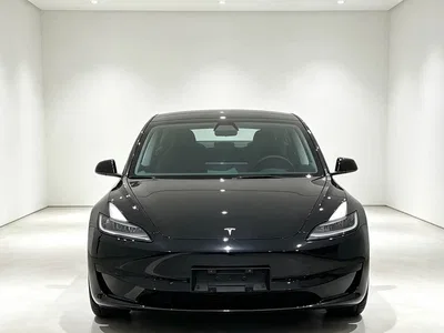 2025 Tesla Model 3 Model Rear-Wheel Drive Edition, фото 2, лот 10361609
