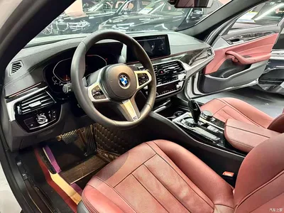 2020 BMW 5 Series 530Li Leading M Sport Package, фото 4, лот 11219154
