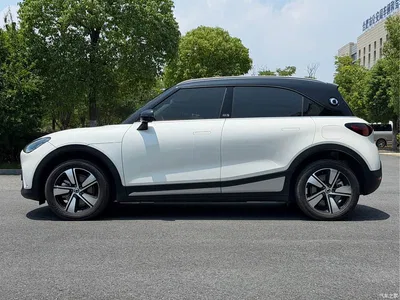 2024 smart Elf #1 Agile Standard Edition, фото 4, лот 10343046
