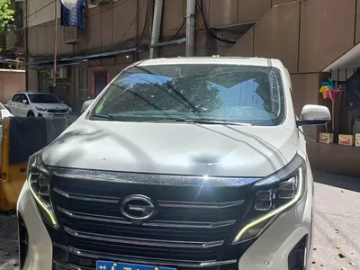 2021 GAC Trumpchi Trumpchi M8 Leading Show Series 390T Prestige Edition, фото 1, лот 10420095