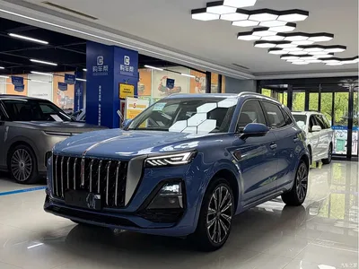 2023 Hongqi HS5 2.0T 4WD Flag Leader Pro, фото 1, лот 10289173