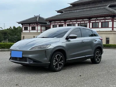 2020 XPeng G3 520i Joy Edition, фото 1, лот 10887591