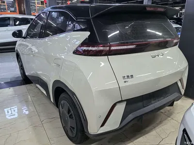 2024 BYD Seagull Glory Edition 305km Vitality Edition, фото 4, лот 10838569