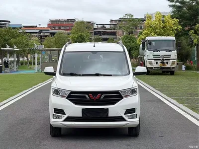 2021 Wuling Motors Wuling Hongguang 1.5L S Comfort LAR, фото 2, лот 10362126