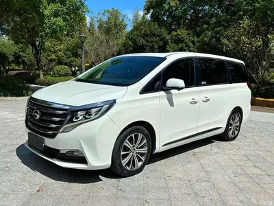 2018 GAC Trumpchi Trumpchi M8 320T Flagship Edition, фото 3, лот 10887383