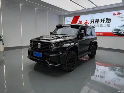 2021 Tank 300 Off-road Version 2.0T Conqueror, фото 3, лот 10344811