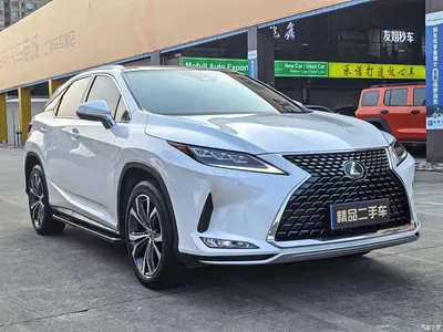 2020 Lexus RX 300 4WD Elegance Edition China VI, фото 3, лот 10837752