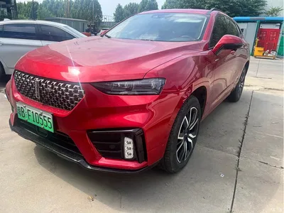 2020 WEY VV7 New Energy PHEV 2.0T Flagship Model, фото 2, лот 10957888