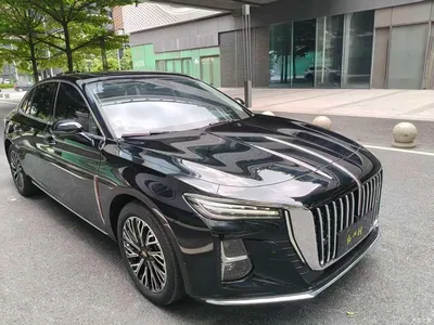 2023 Hongqi H5 2.0T Auto Smart Connect Flag Comfort, фото 3, лот 10287281
